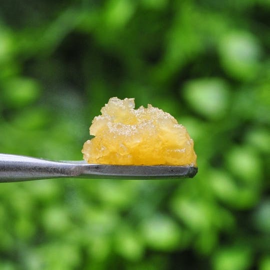 Envy - Meat Breath - Sugar Wax - 1g - 1