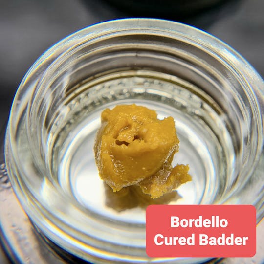 Terpman & Rosin - Bordello Cured Badder - 1