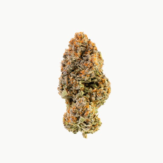 Brigid Farm - Peach Crescendo #46 - 1