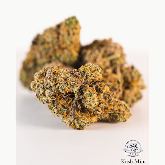 Lake Life Farms - Kush Mintz - 1