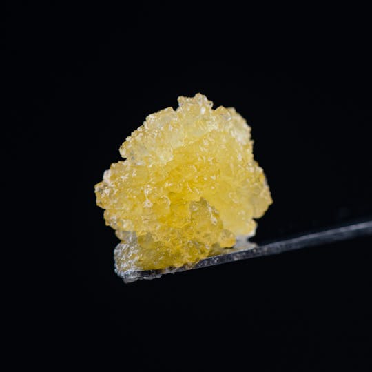 Brigid Farm - Terple - 1