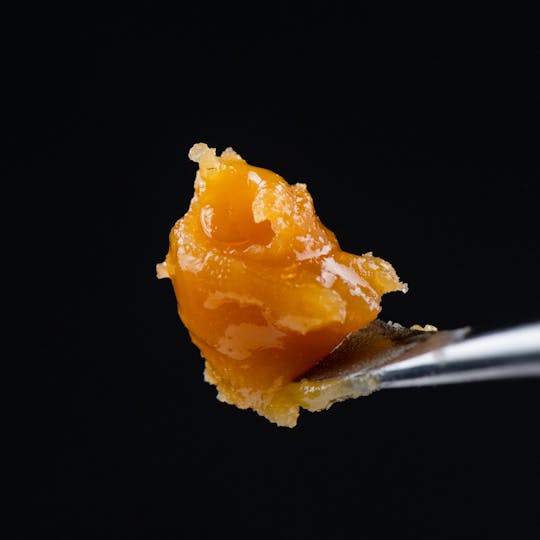 Brigid Farm - Jolly Rancher x Peanut Butter Breath - 1