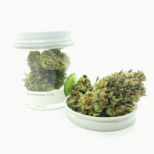 Mainely Medical - Citrus Farmer MOFGA - 1