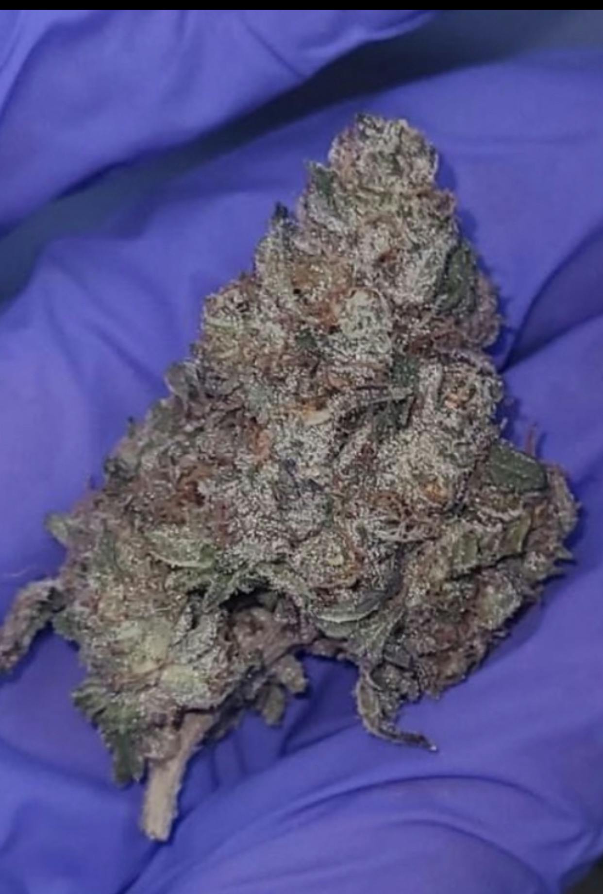 E40
