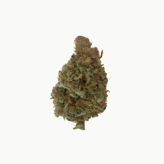 Faraway Farmstead - Pink Pony - 1
