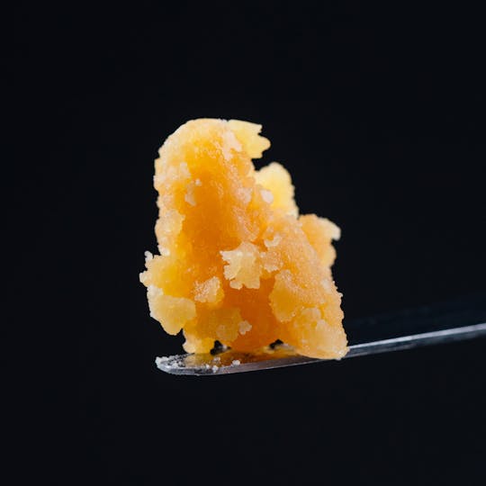 Brigid Farm - Sugar Cane - 1