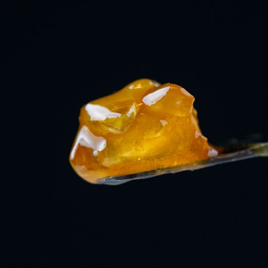 Brigid Farm - Animal Sherbet - 1