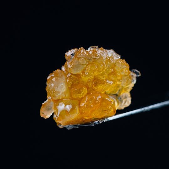 Brigid Farm - Blackberry Kush - 1