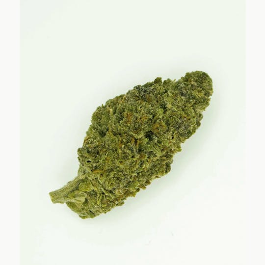 Trusty Transportations - Grand Daddy Purple 1 Gram (26% THC, Indica) - 1