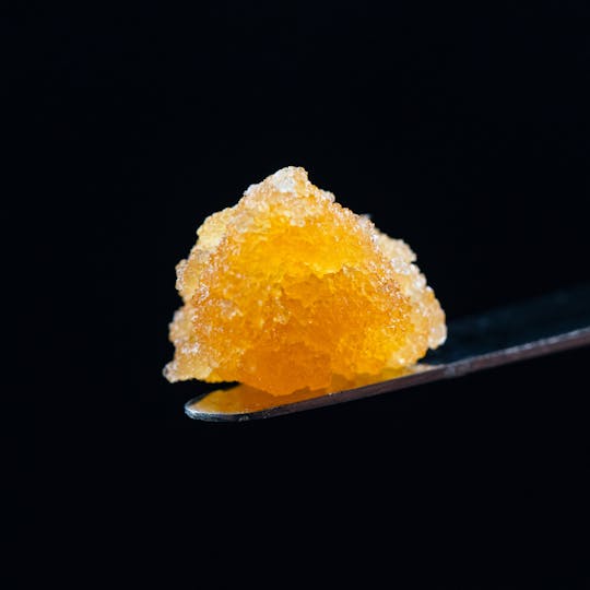 Brigid Farm - Zour Apples - 1