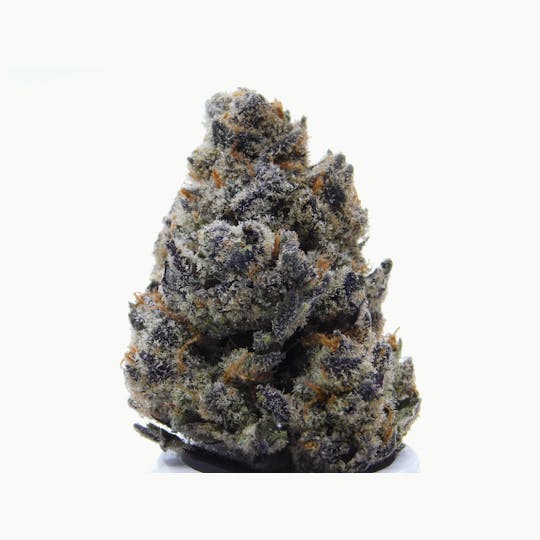 Outlaw Cannabis - Banana Punch - 1