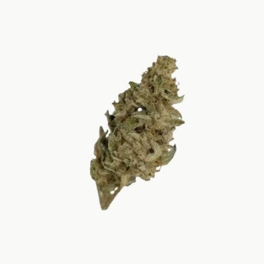 Marks Organix - Marks Organix Outdoor - 1
