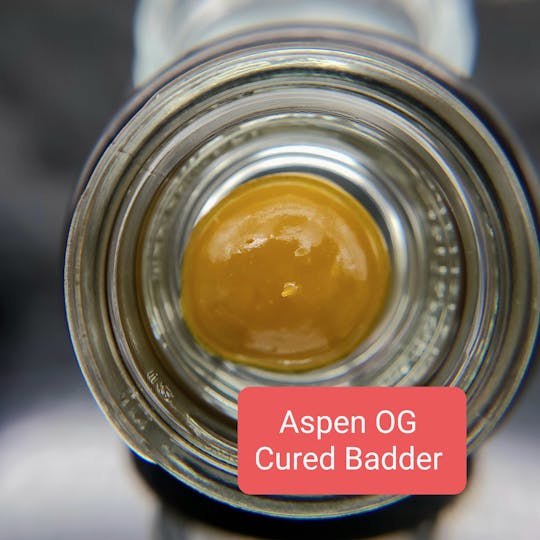 Terpman & Rosin - Aspen OG Cured Badder - 1