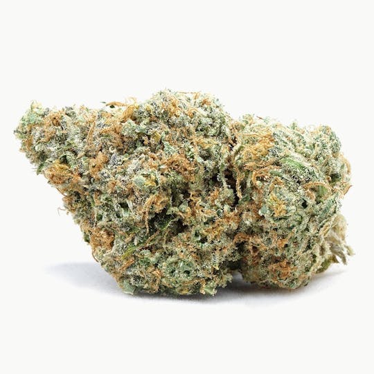 High Tide Organics - Lemonade | Indoor - 1