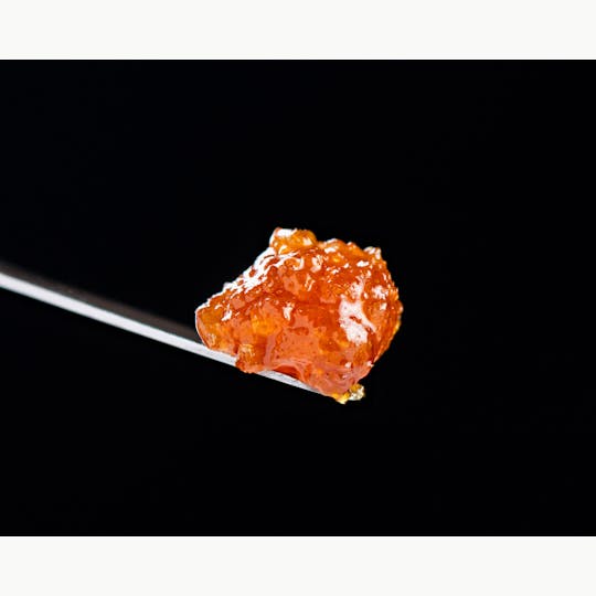 Brigid Farm - False Teeth #53 - 1