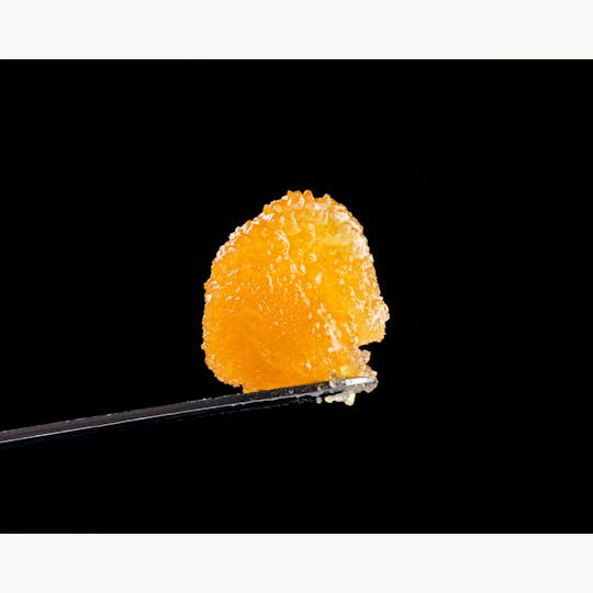 Brigid Farm - Papaya Bananas #8 - 1