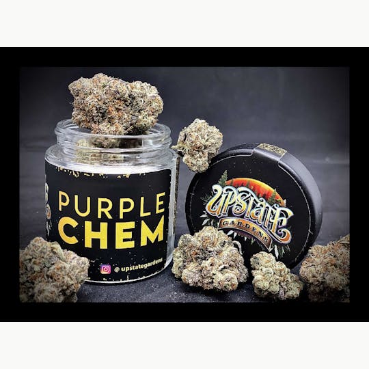 Upstate Gardens - Flower: Purple Chem - 1