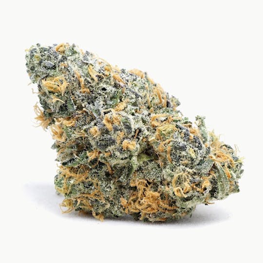High Tide Organics - Peach Kush | Indoor - 1