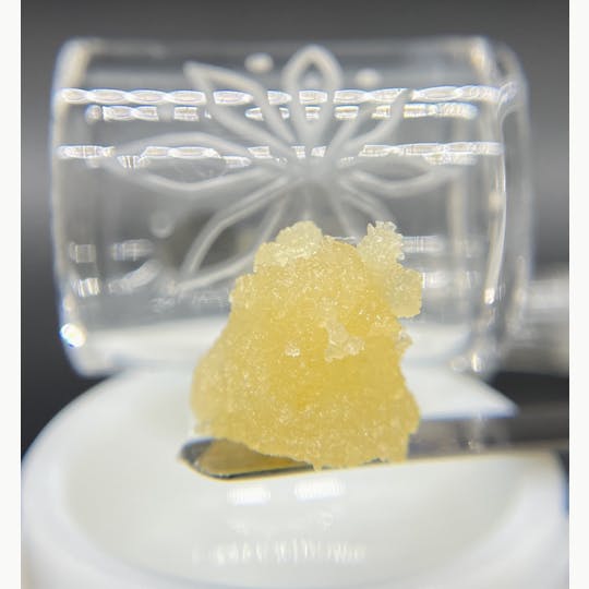 Sooner Glue - OG Cream - 1