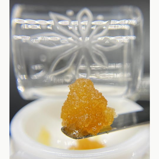 Sooner Glue - Purple Skunk - 1