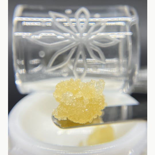 Sooner Glue - Skywalker OG - 1