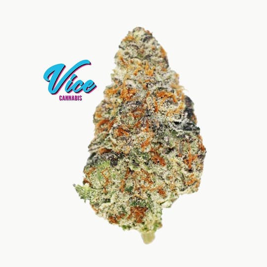 Vice Cannabis - Gelonade (Lemon Tree x Gelato #41): Flower - 1
