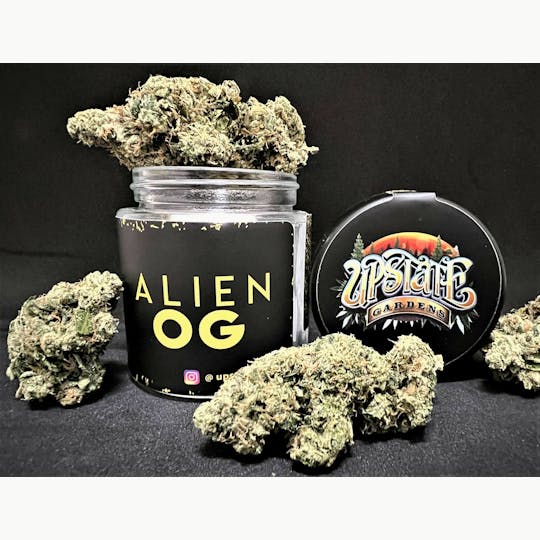 Upstate Gardens - Flower: Alien OG - 1