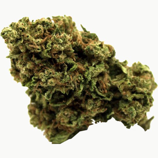 Trusty Transportations - Purple Panty Dropper 1 Gram (15% THC, Indica) - 1