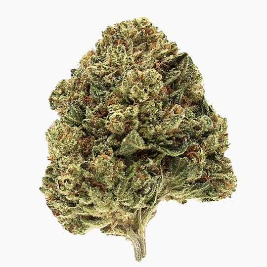 Trusty Transportations - Lemon Pound Cake Bigs 1/2 Ounce/14 grams (24% THC, Indica) - 1