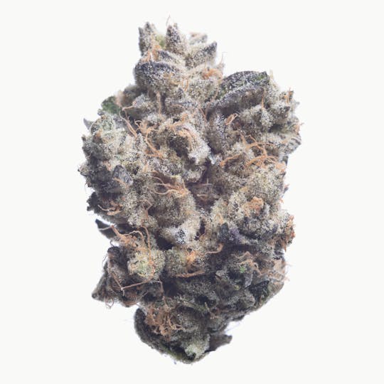 Snowblind Cannabis - Wizzard's Wand - 1