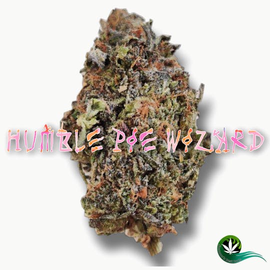 Shannon's Best Buds - Humble Pie Wizard - 1