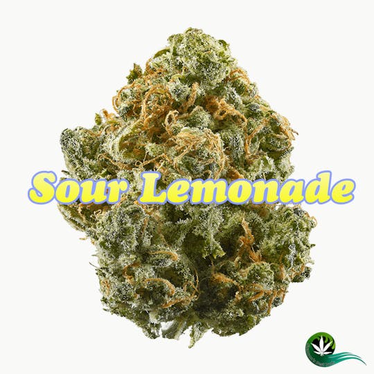Shannon's Best Buds - Sour Lemonade - 1