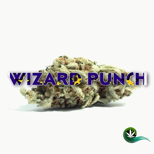 Shannon's Best Buds - Wizard Punch - 1