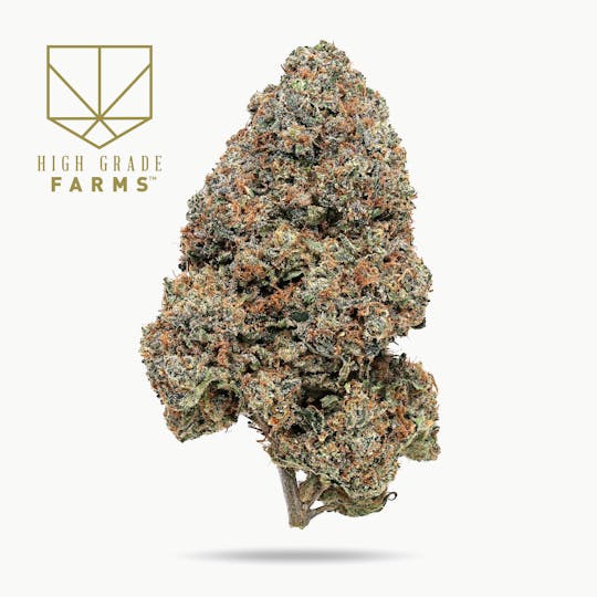 High Grade Farms - Gas Runtz 3.5G - 1