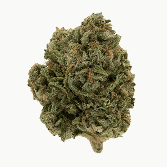 Smoakland - BLACK - Blue Dream (S) - 14g - 1