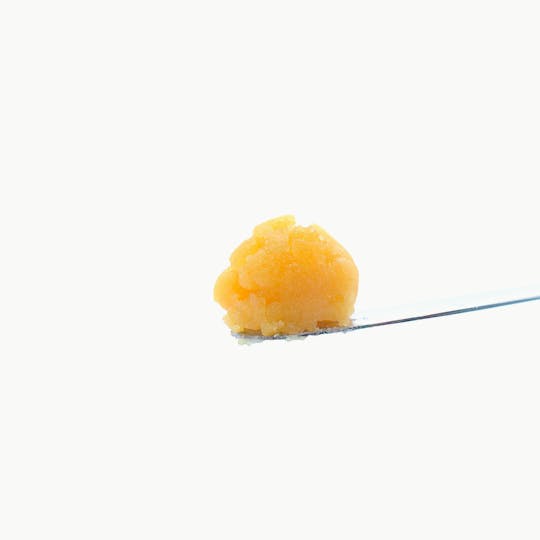 Zero Gravity Cannabis - Sour Banana Larry Badder - 1