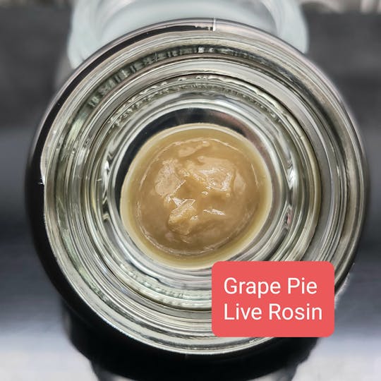 Terpman & Rosin - Grape Pie Live Rosin - 1