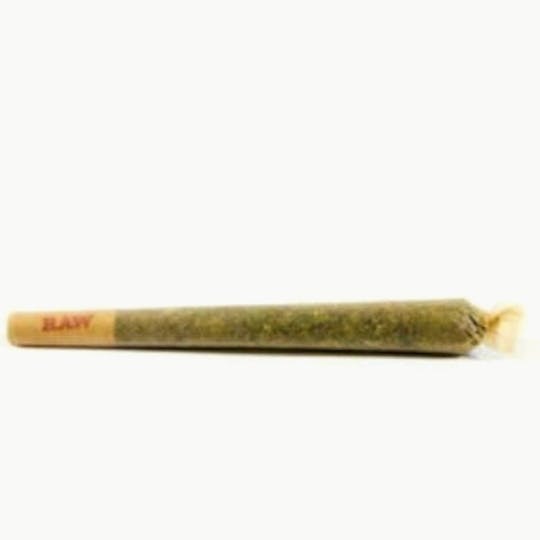 Peak Maine Cannabis - Cat Piss Single Pre-Roll - 1
