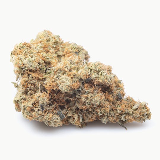 Snowblind Cannabis - Orange Velvet Underground - 1