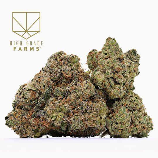 High Grade Farms - Peanut Butter Burger 3.5G - 1