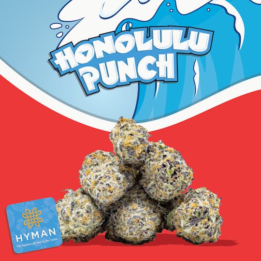 HYMAN - Honolulu Punch | 3.5G Pre-Pack | HYMAN | REC - 1