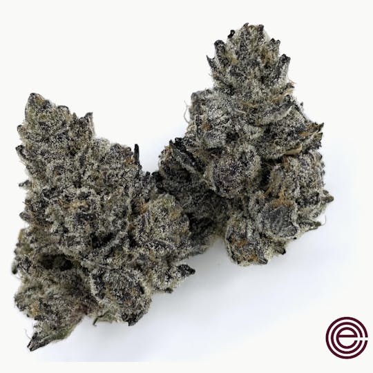East Coast Cure - Blackberry Panna Cotta (Panna Cotta #9) - 1