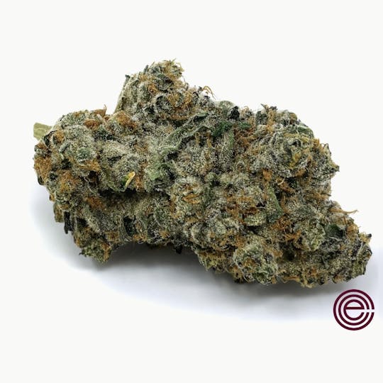 East Coast Cure - Apple Fritter - 1