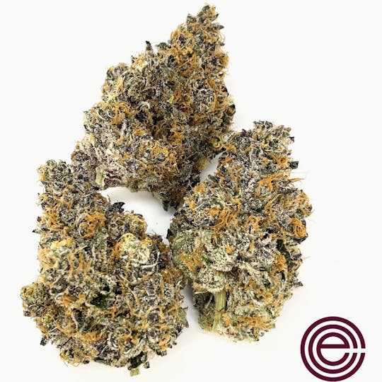 East Coast Cure - Babe #11 - 1