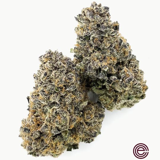 East Coast Cure - Babe #54 - 1