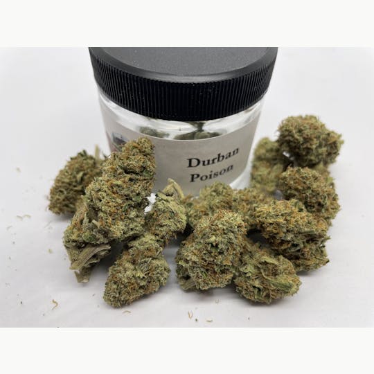 Robinsons of Maine LLC - Durban Poison - 1