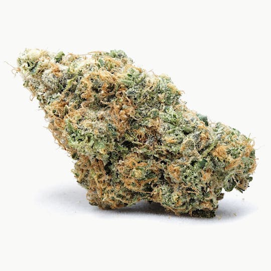 High Tide Organics - Orange Sherbet | Indoor - 1
