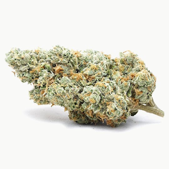 High Tide Organics - Pineapple Express | Indoor - 1