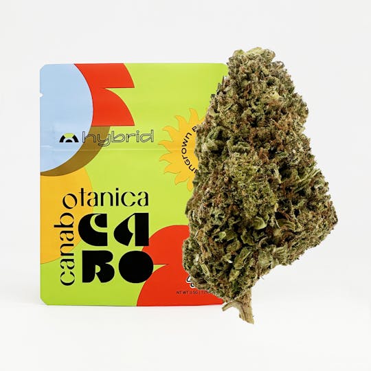 Canabotanica - Apple Fritter - 3.5g - Sungrown Flower - 1