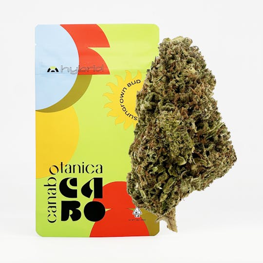 Canabotanica - Apple Fritter - 14g - Sungrown Flower - 1